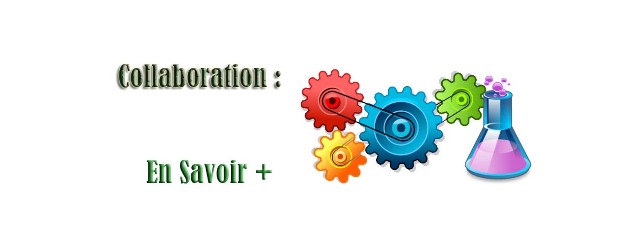 support & collaboration